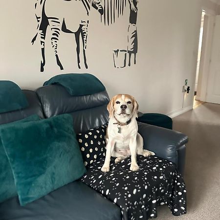 Hereford - Finch House - Modern 4 Bedroom House Located In South Hereford, Dog Friendly With Nearby Countryside, Pool Table, Sleeps Up To 10 Guests - Hosted By Rentmyhouse Exterior foto
