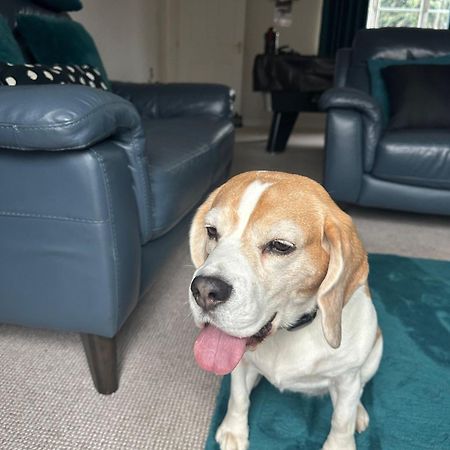 Hereford - Finch House - Modern 4 Bedroom House Located In South Hereford, Dog Friendly With Nearby Countryside, Pool Table, Sleeps Up To 10 Guests - Hosted By Rentmyhouse Exterior foto